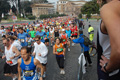 pino_0180