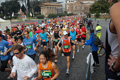 pino_0181