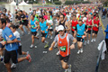 pino_0182
