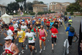 pino_0183