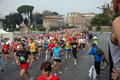 pino_0184