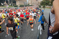 pino_0186