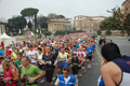 pino_0246