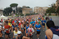 pino_0247