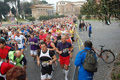 pino_0262