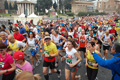 pino_0266