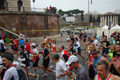pino_0278