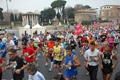 pino_0288