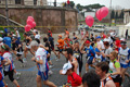 pino_0296