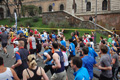 pino_0339