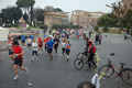 pino_0362