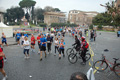pino_0363