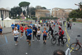 pino_0364
