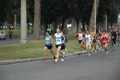 dominici_1496
