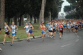 dominici_1499
