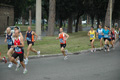 dominici_1500