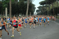 dominici_1501