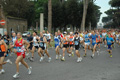 dominici_1502
