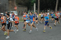 dominici_1503