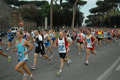 dominici_1509
