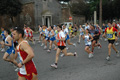 dominici_1510