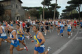 dominici_1514