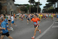 dominici_1516