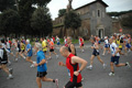 dominici_1519