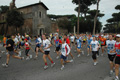 dominici_1522