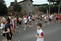 dominici_1533
