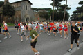 dominici_1534