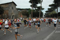 dominici_1536