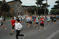 dominici_1539