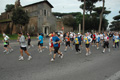 dominici_1541