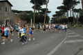dominici_1542