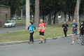 dominici_1552