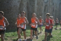ferraresi_0082