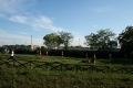 ferraresi_0121