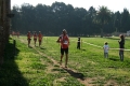 ferraresi_0149