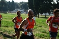 ferraresi_0181