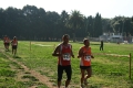 ferraresi_0225