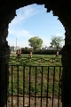 ferraresi_0243