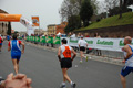 pino_0847