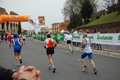 pino_0848
