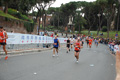 pino_0882
