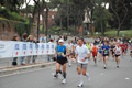 pino_0904