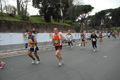 pino_0926