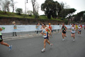 pino_0940