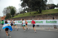pino_0954