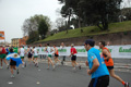 pino_0955